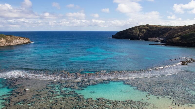 Best Snorkeling in Oahu 2026: Top 7 Spots + Tours from $79