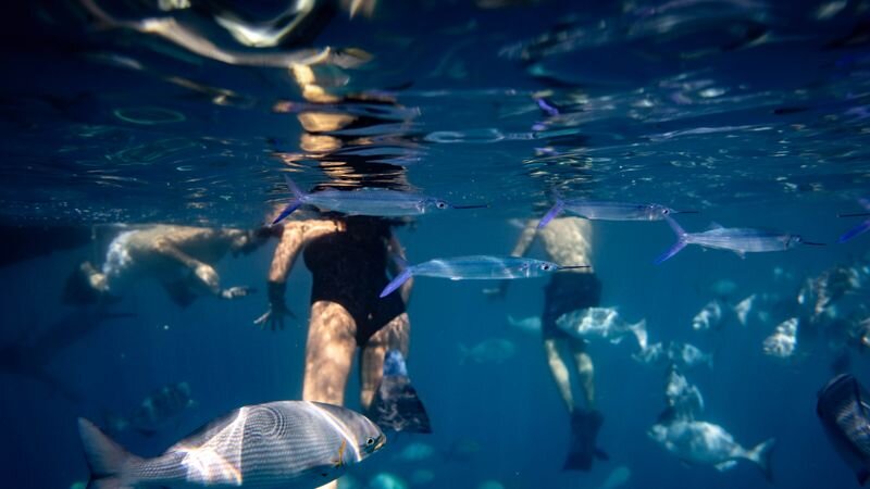 Best Snorkeling Spots in Oahu 2026