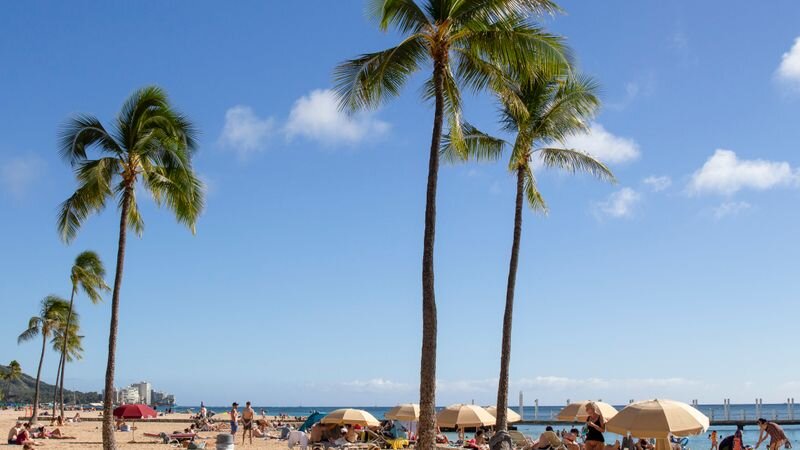Budget Hawaii Tours Under $100