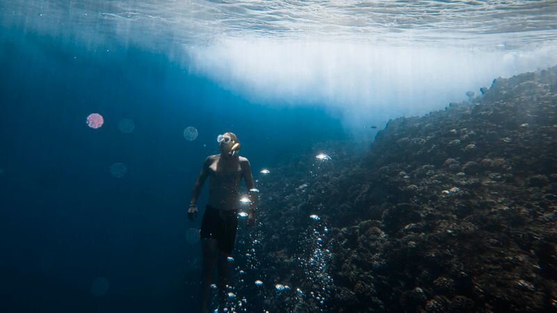 Kauai vs Maui - Snorkeling Comparison