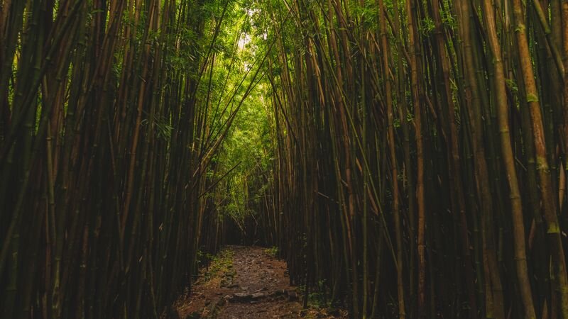 Best Things to Do on Maui