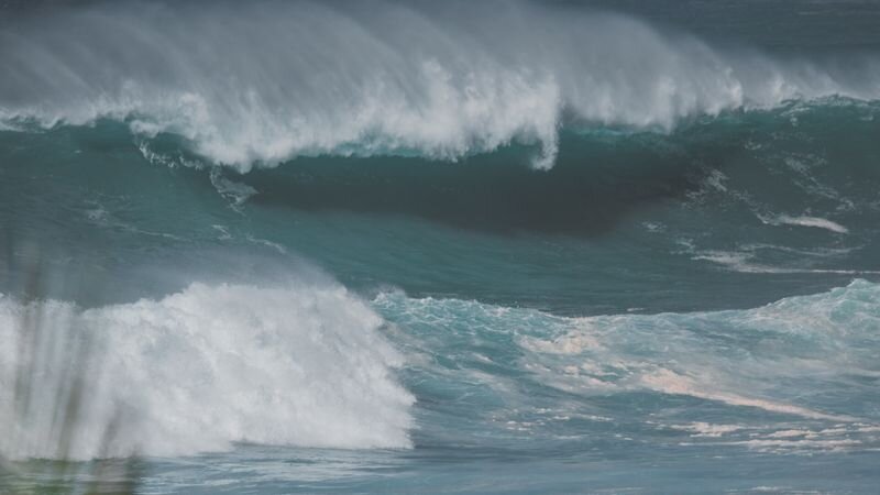 15 Best Things to Do on Oahu's North Shore in 2026