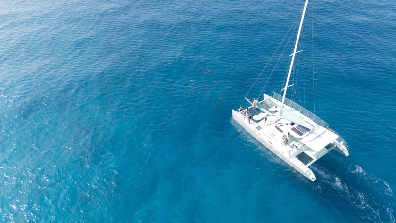 Catamaran vs Small Boat Snorkel Tours Hawaii: Which Is Right for You?