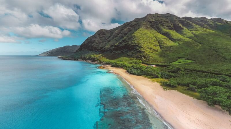 Oahu vs Maui vs Big Island for Snorkeling: Which Island Should You Choos