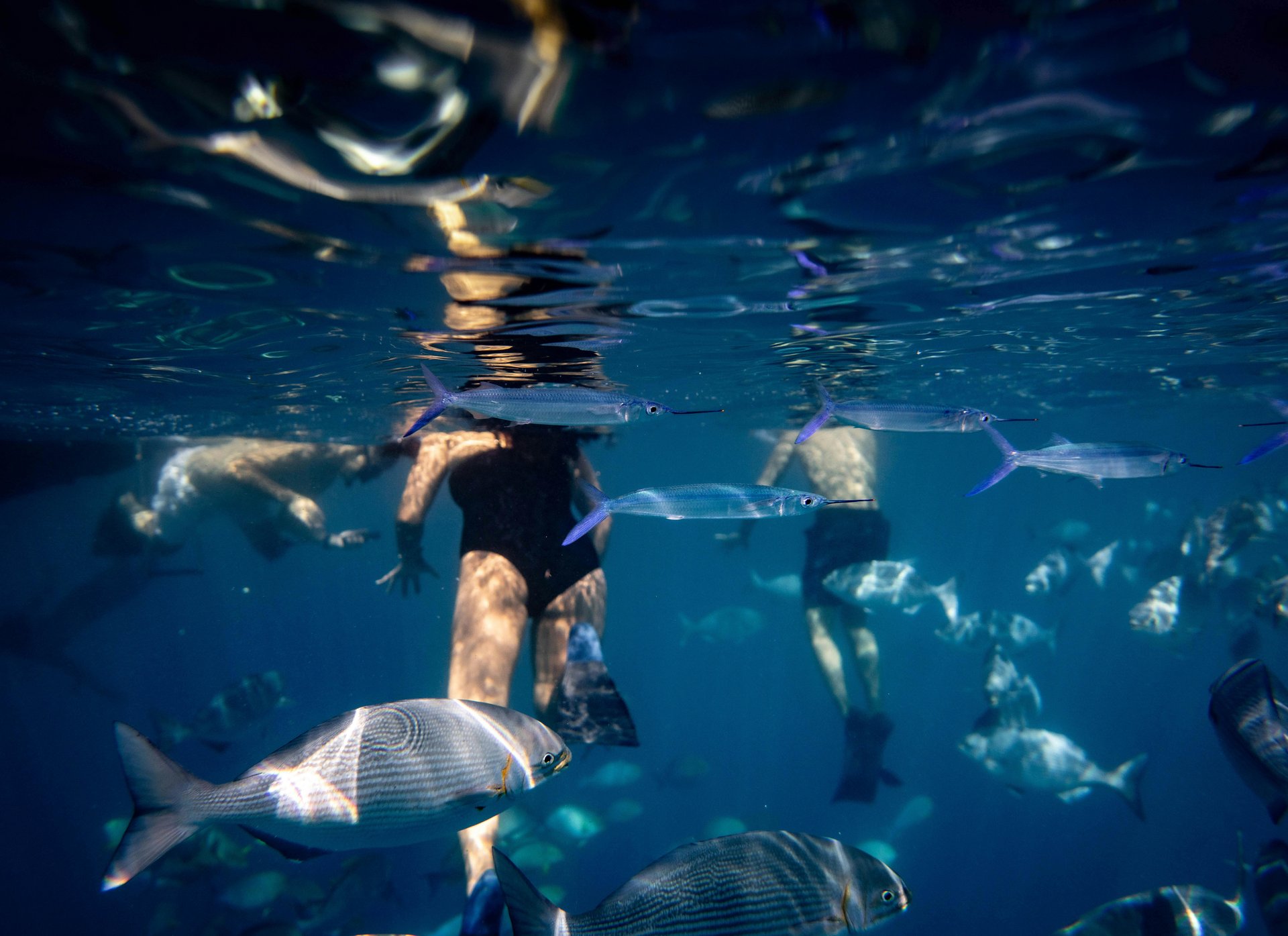 Hawaii ocean adventure — WanderHawaii local tour discovery